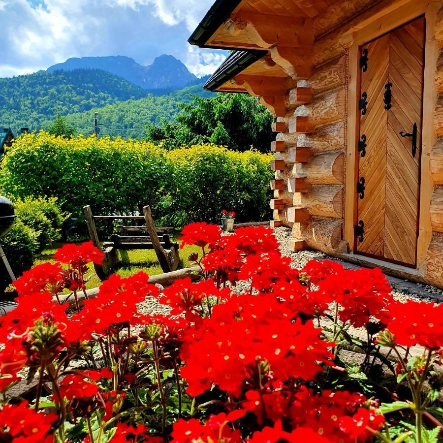 Zakopianska Osada & * Zakopane