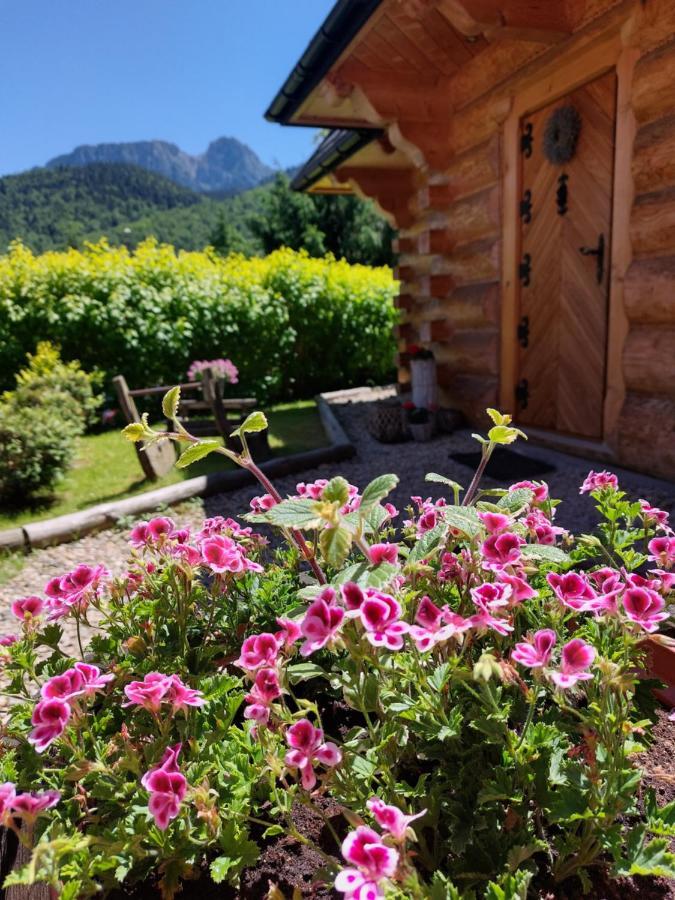 Zakopianska Osada Domki Chalet Zakopane
